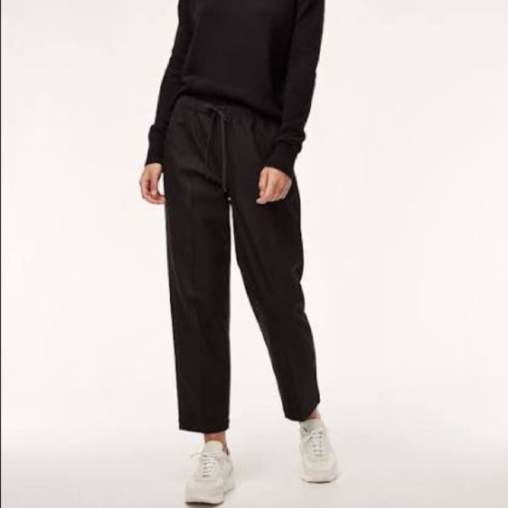 ARITZIA Jimmy Pant